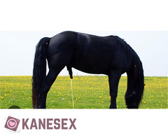 Επιβήτορας - Εικόνα 3