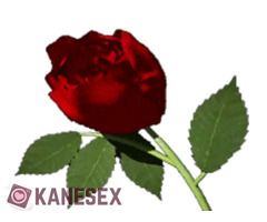 Τι  θα  έλεγες