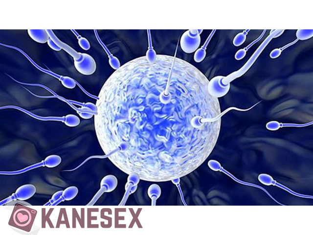 kanesex.com