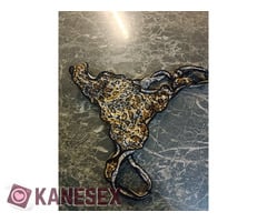 I want Black big dick for now in my home.i am giving present!!