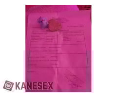 24ώρο 50ευρώ η 1ώρα 694358 9989 σε περιμένω αποκλειστικά στο χώρο μου - Εικόνα 10