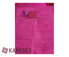 50euro η 1ώρα 24ώρο 694358 9989 Ερωτικές υπηρεσίες αποκλειστικά στο χώρο μου - Εικόνα 8