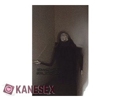 Άντρας bi για άραγμα, κουβέντα κι ότι προκύψει