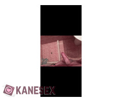 Ψάχνω παθητικό να βγάλουμε γούστα - Εικόνα 2