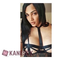 TS-ANDREA, In Your City, Satisfy Your Fantasies - Εικόνα 3