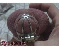 chastity cage - Εικόνα 2