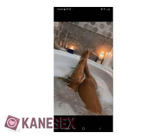 ESCORT MODEL με Χώρο για Απόψε &ampamp για λίγο καιρό στην Αθήνα !! - Εικόνα 3