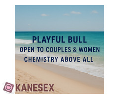 Playful Bull , Open to Couples & Women . Chemistry Above All