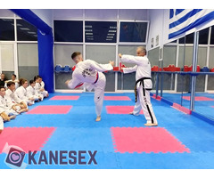 Martial arts - Εικόνα 4