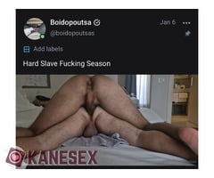 ΕΛΑΤΕ ΚΑΡΓΙΟΛΗΔΕΣ - Εικόνα 4