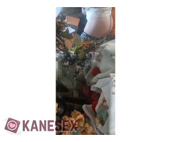 Καλησπέρα - Εικόνα 2