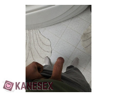 Ζητείται κολομουνακι - Εικόνα 2