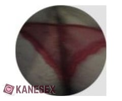 ΑΥΓΆ ΚΑΙ ΓΙΑΟΎΡΤΙΑ