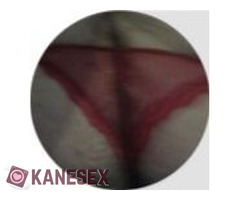 ΑΥΓΆ ΚΑΙ ΓΙΑΟΎΡΤΙΑ