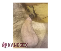 Ενεργητικος μονο για κρος