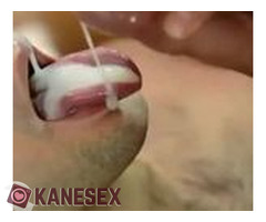 Ψάχνω Πουτσο