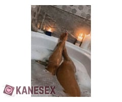 Για απόψε ΜΑΣΑΖΑΚΙ ΣΥΝ ΦΟΥΛ ΠΡΌΓΡΑΜΜΑ