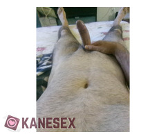 Είμαι 63 χρ ενεργητικός - Εικόνα 2