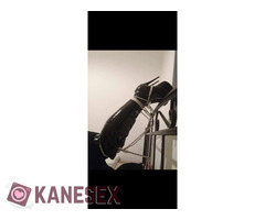 Θες να βγάλουμε χρήματα - Εικόνα 3