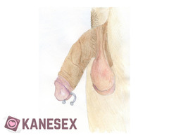 Σε καυτό κρεββάτι γιά όλα... - Εικόνα 4