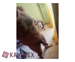 Κάποιος για τώρα - Εικόνα 3