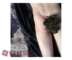 Γνωριμία - Εικόνα 2