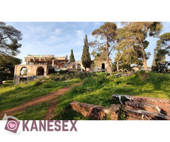 Λόφος Λεβίδη-Παλλήνη stis 1500