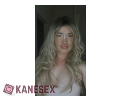 Double trouble Trans - Εικόνα 2