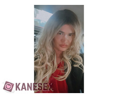 2 TRANS FOR HORNY - Εικόνα 5