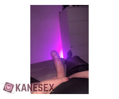 2 TRANS FOR HORNY - Εικόνα 9