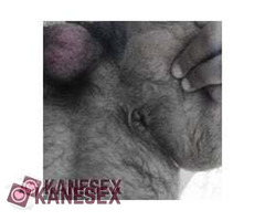 Για καυλιάρη ενεργητικό!! - Εικόνα 3