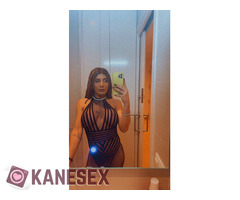 Your New Companion Has Just Arrived! 306994815742 - Εικόνα 2