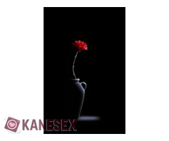 Υποτακτικός άνδρας αναζητά Κυρίαρχη Γυναίκα για σοβαρή σχέση