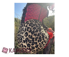 Sabina Sissy trans cross - Εικόνα 3