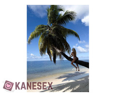 Ξανθός πειρασμός - Εικόνα 3