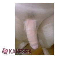 Γυμνισμός - Εικόνα 5