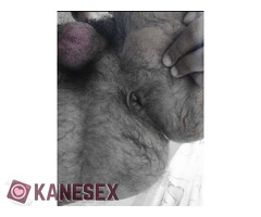 Βούλωσε την τρύπα μου με το καυλί σου - Εικόνα 3