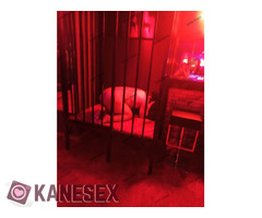 Dominatrix Dark Swan μόνο για σκλάβους πελάτες - Εικόνα 9