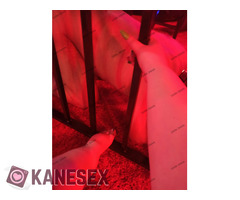 Dominatrix Dark Swan μόνο για σκλάβους πελάτες - Εικόνα 10