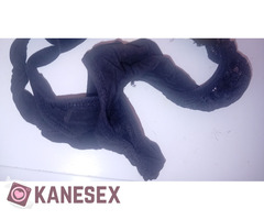 Σε καυλωνει να σε παίρνουν ματι σπίτι