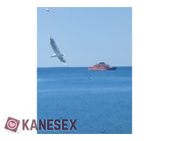 Καλοκαιρινές διακοπές - Εικόνα 4