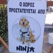 Kon
