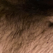 Macbear