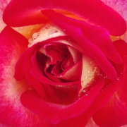 Κτητικος 60ρης