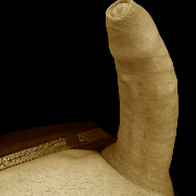 Nunez